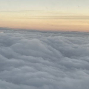 Meet your Posher, Ava